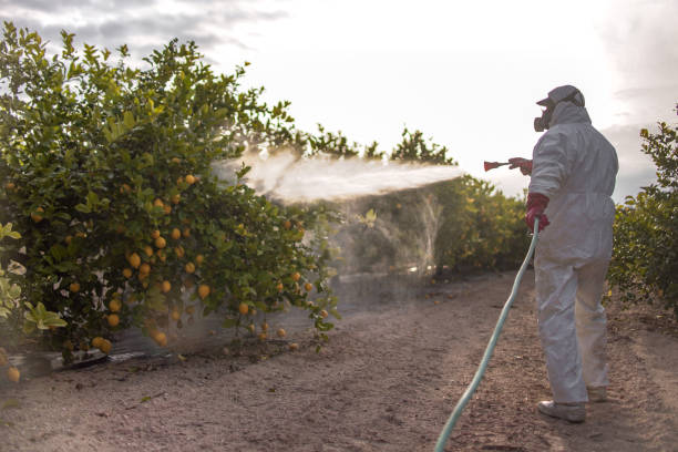 Pest Prevention Services in La Grande, OR