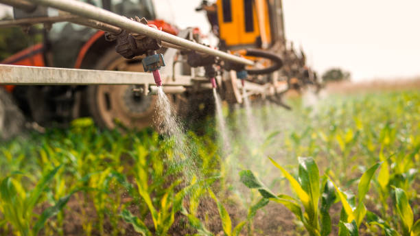 Insect Control in La Grande, OR